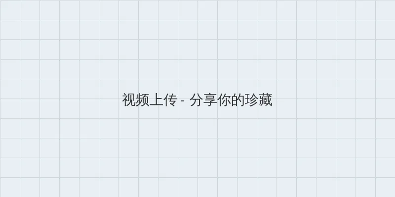 秘密 入口 视频上传区域